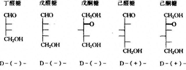 在流动化学系统中，如何将糖-NAIM的衍生物制备出来？