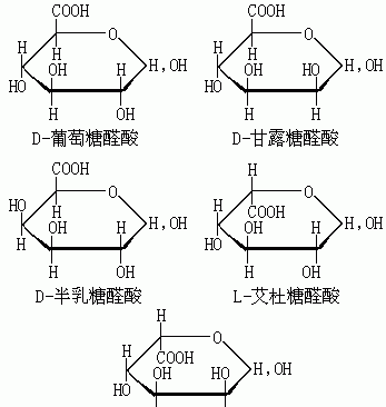 在流动化学系统中，如何将糖-NAIM的衍生物制备出来？