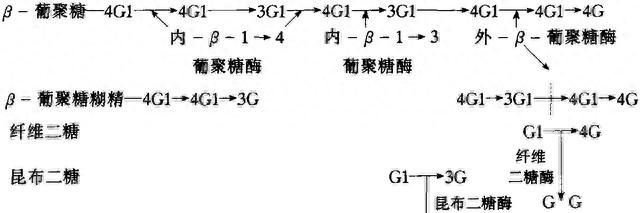 在流动化学系统中，如何将糖-NAIM的衍生物制备出来？