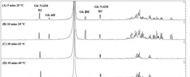 在流动化学系统中，如何将糖-NAIM的衍生物制备出来？