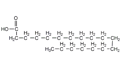 硬脂酸（stearic acid）简介