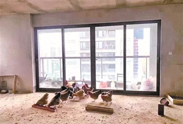 大批蟑螂入侵上海一居民楼，杀虫剂都杀不光，它们为何这么顽强？