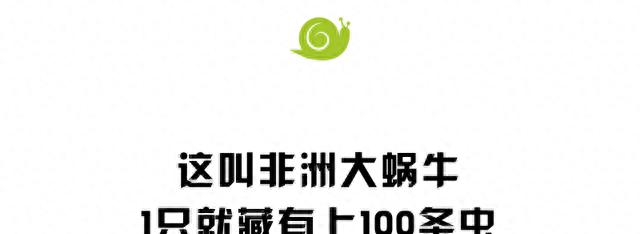 大雨后遍地爬的大蜗牛，为啥不能让孩子碰？