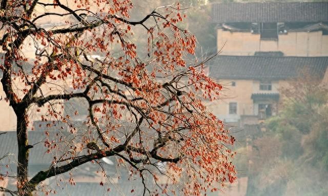 清河驿的秋天-1978（24）：盘算