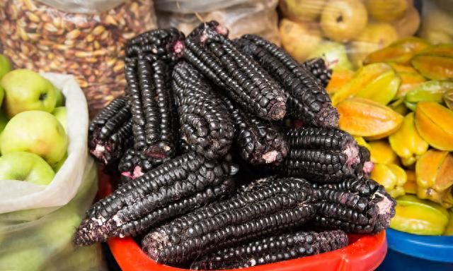 黑玉米是转基因吗？农民朋友能不能大量种植？