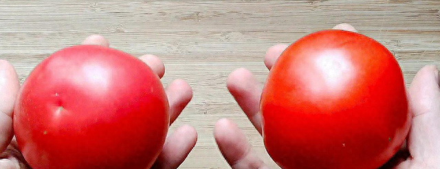 怎么分辨西红柿的好坏？老菜农教你6点，买的安心，吃的也放心