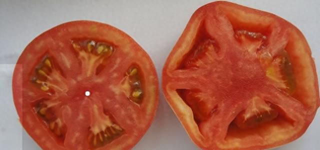 怎么分辨西红柿的好坏？老菜农教你6点，买的安心，吃的也放心