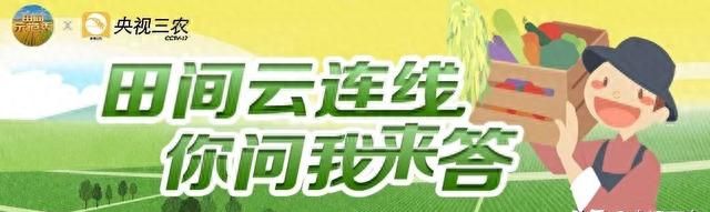 新鲜羊肉怎么挑？绵羊肉、山羊肉咋区分？看这里→