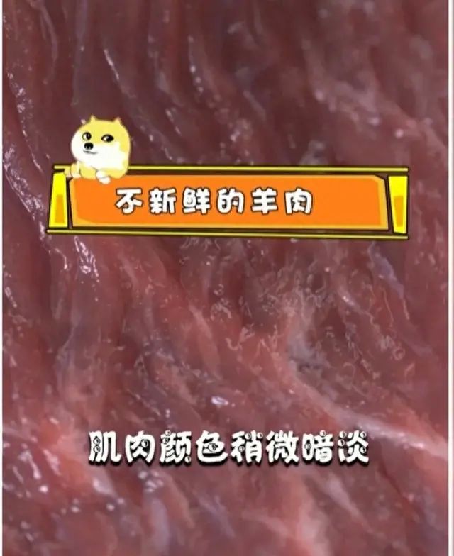 新鲜羊肉怎么挑？绵羊肉、山羊肉咋区分？看这里→