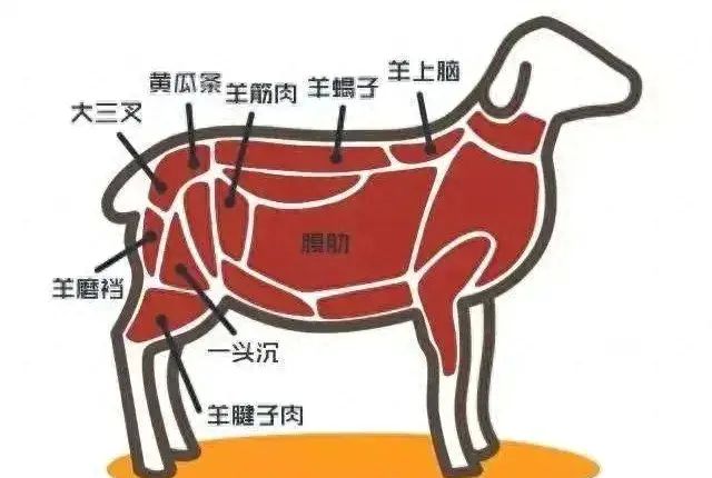 新鲜羊肉怎么挑？绵羊肉、山羊肉咋区分？看这里→