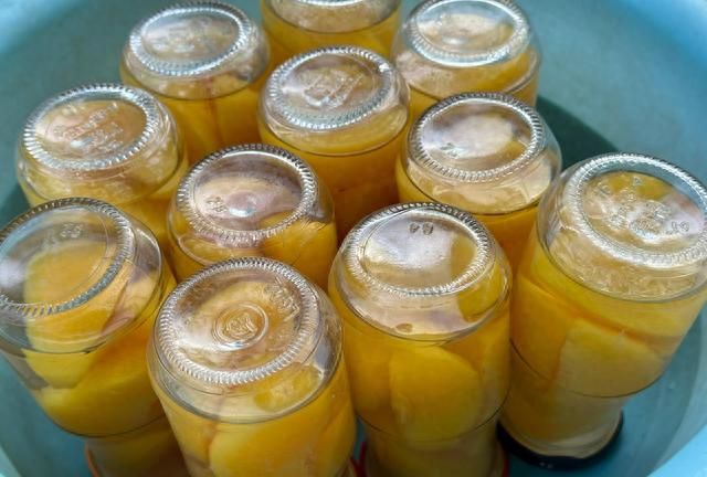 每年必做的黄桃罐头，做上几十瓶，放半年都不会坏