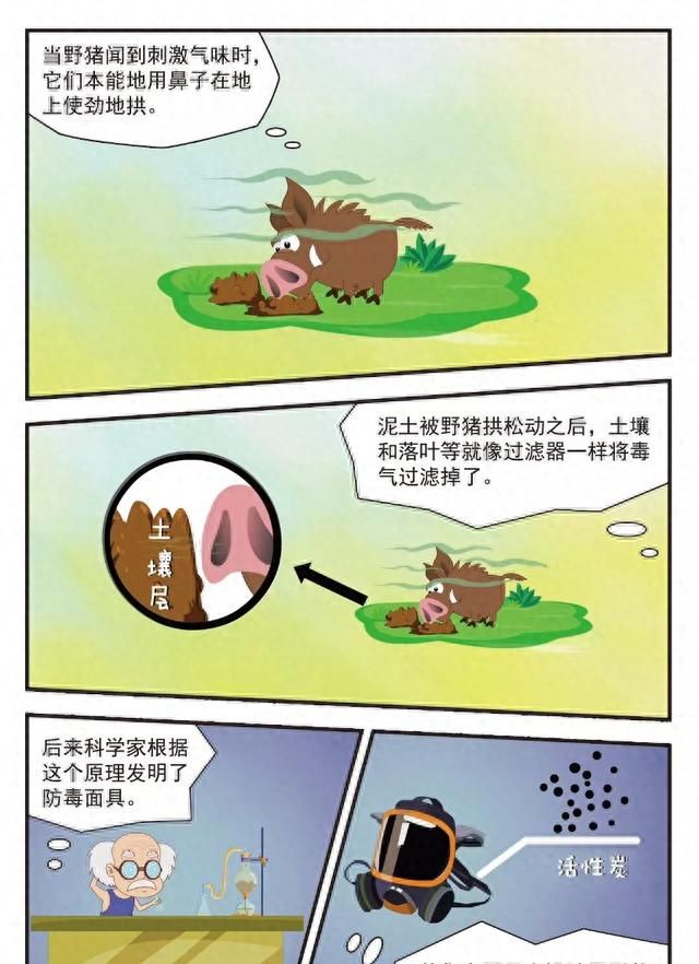 防毒面具是谁设计的？为什么长得像猪鼻子，你知道其中的原理吗