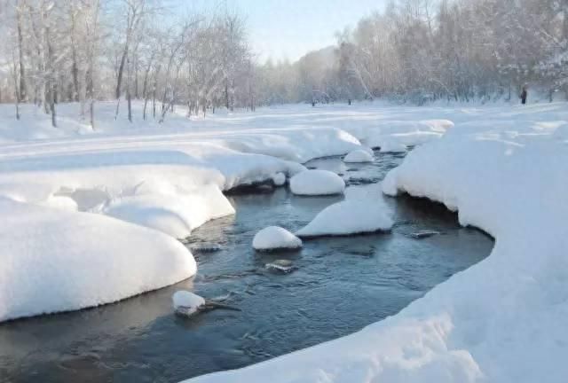 木瓜炖雪蛤女生都爱吃，要知道雪蛤是什么，你还愿意吃吗？