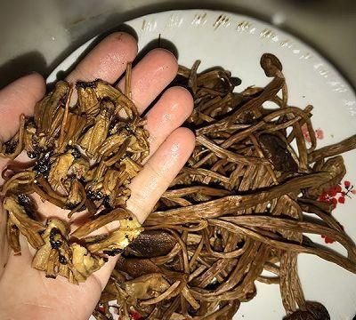 干茶树菇泡水时加勺它，现泡现吃不干硬，味道非一般的鲜美！