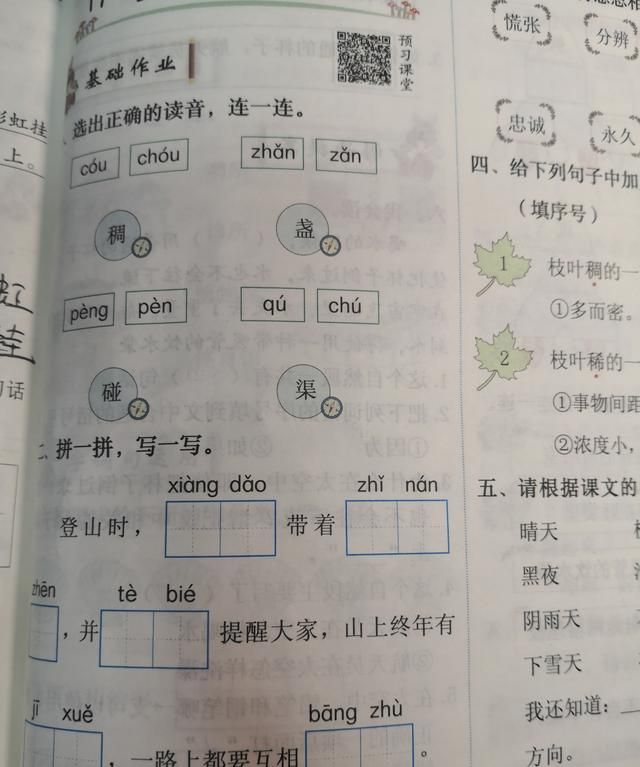 学好17课《要是你在野外迷了路》，知道什么是“天然指南针”