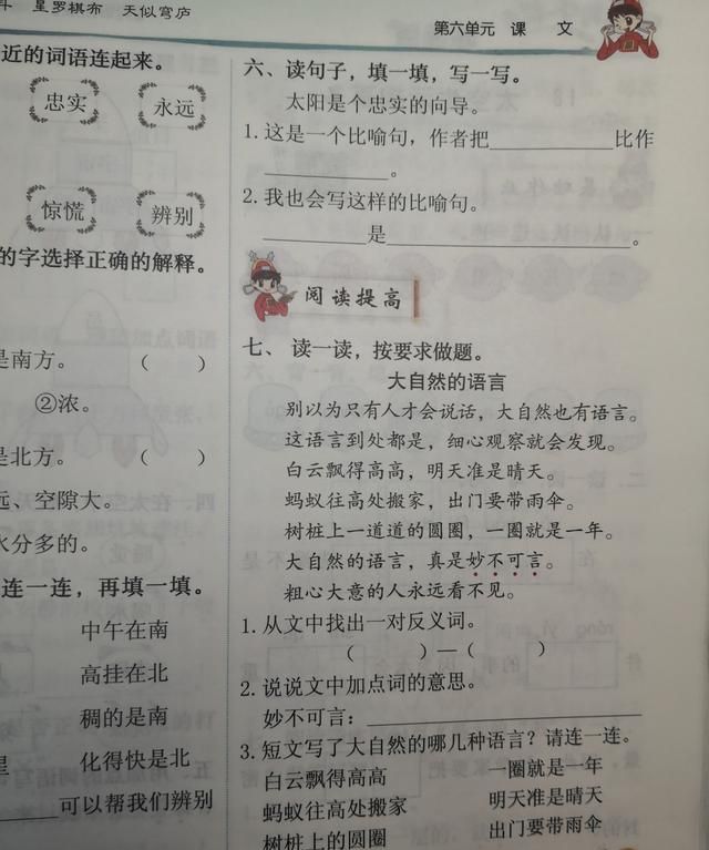 学好17课《要是你在野外迷了路》，知道什么是“天然指南针”