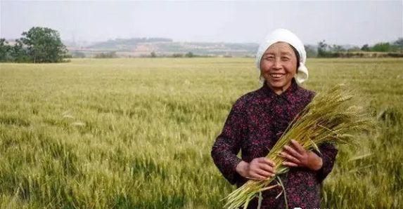 舌尖上的美味——碾转，来学学！