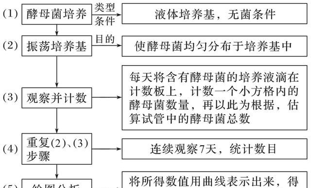 高中生物易错题NO.26种群和群落（上）