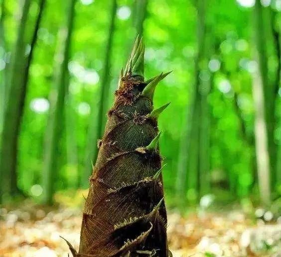 左岩：天珠的风化纹居然是这样形成的？