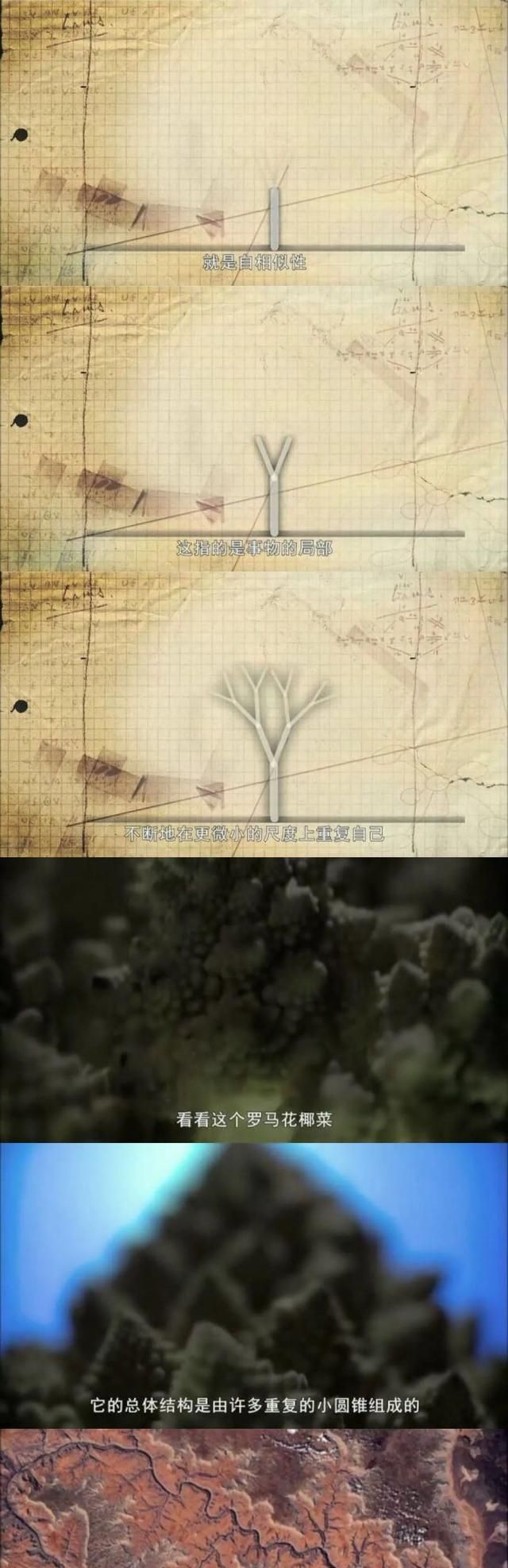 左岩：天珠的风化纹居然是这样形成的？