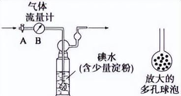 反应性泡状流是什么？反应性泡状流中的小尺度现象又如何？