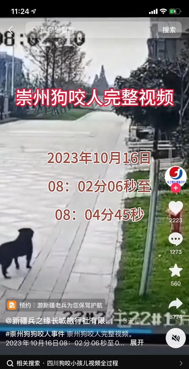 让你们给狗牵狗绳带嘴套就那么强吗？