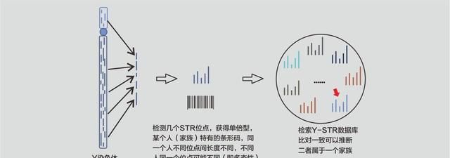 祖先陪葬文物归国家还是后人？曾祖父墓葬被盗，陪葬品却不归子孙