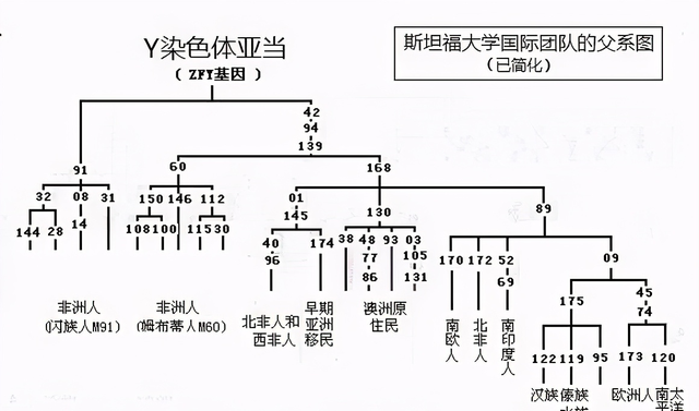 祖先陪葬文物归国家还是后人？曾祖父墓葬被盗，陪葬品却不归子孙