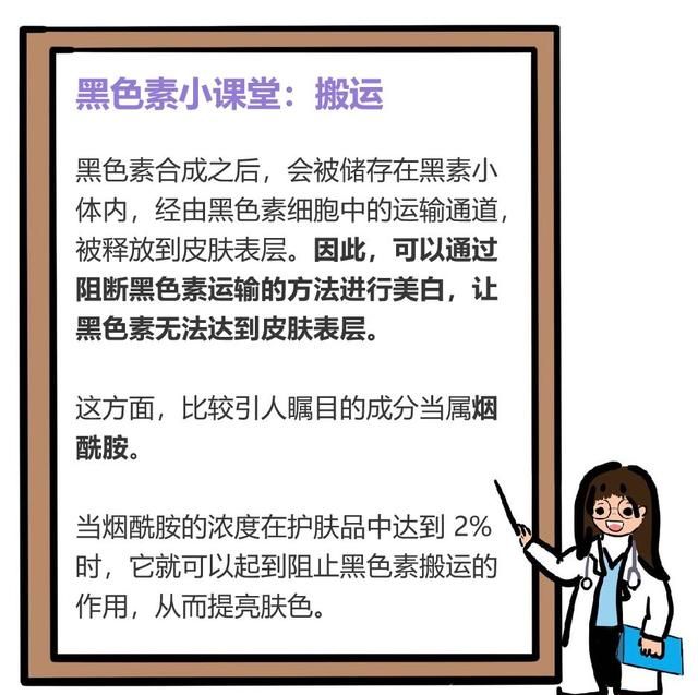 看懂了变白的 4 个步骤，你也能白到发光