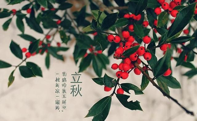 二十四节气|立秋知识，一条全知道