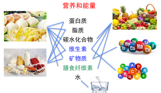 科普小知识—健康饮食常识