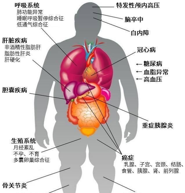 科普小知识—健康饮食常识