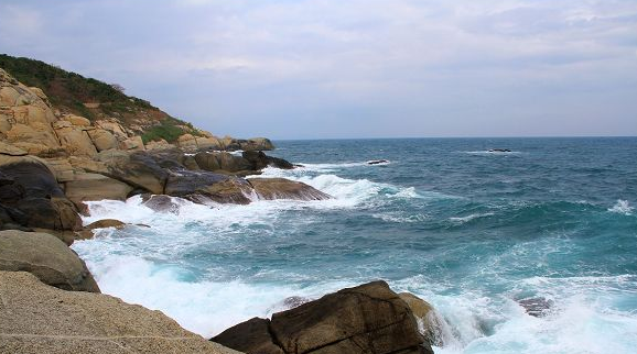 海边人跟你说——赶海入门指南