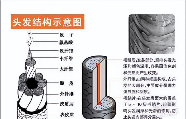 日常生活中，我们如何护理出一头亮丽顺滑的头发？